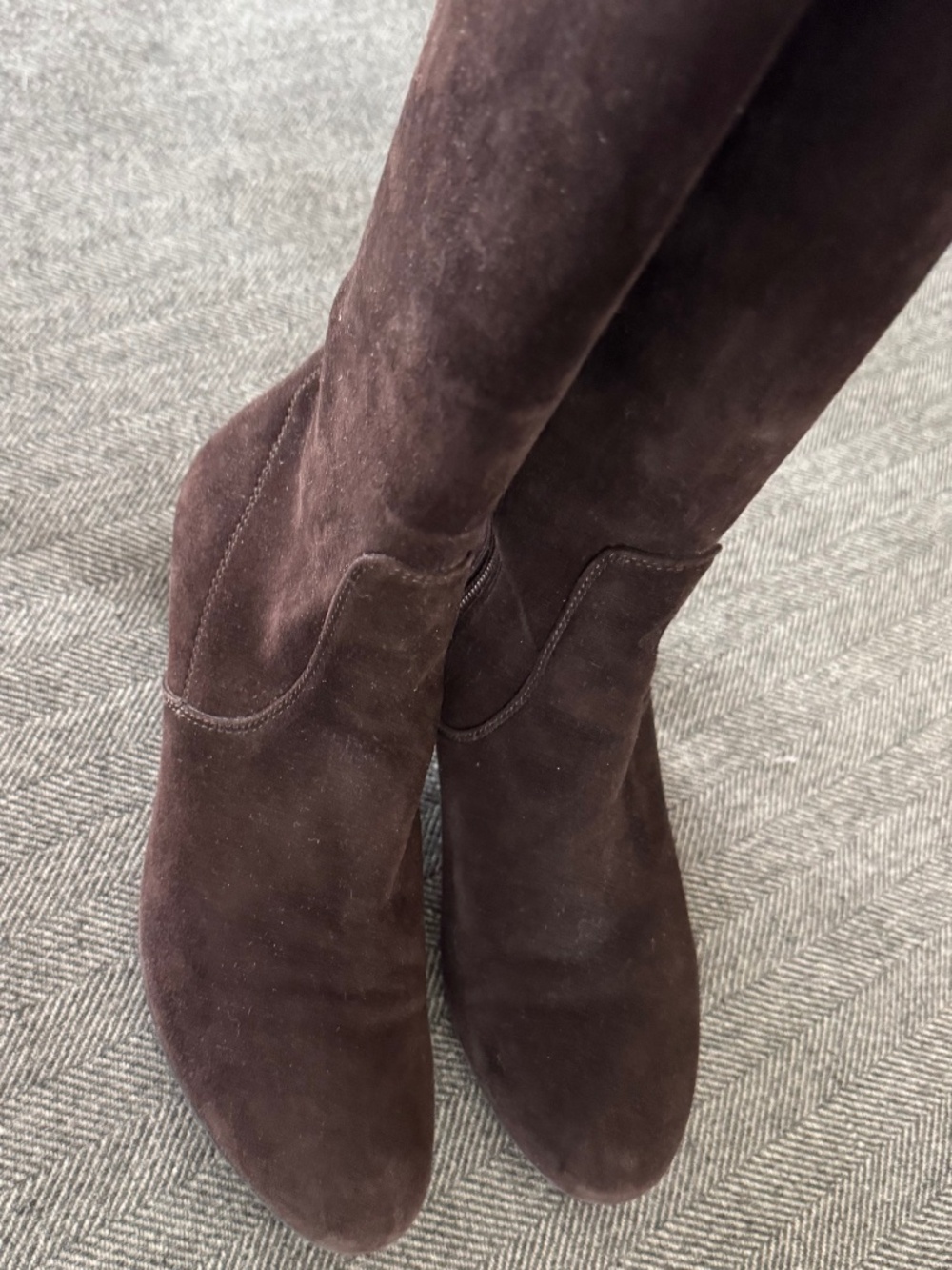 AQUATALIA, CHOCOLATE BROWN SUEDE BOOTS